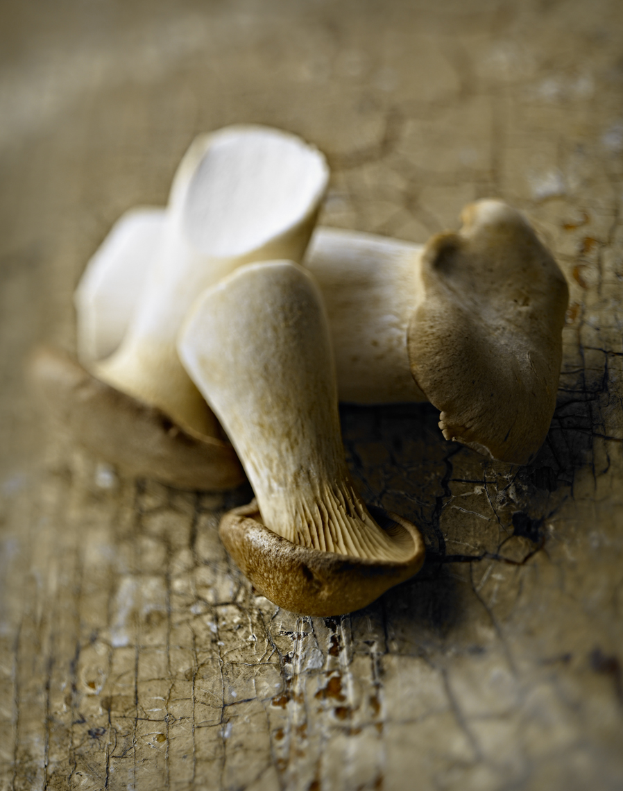 RoyalTrumpetMushRooms_v3_Feb2012-010768
